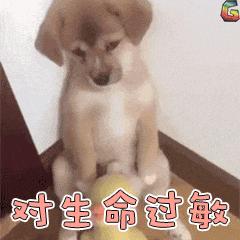 是过敏性偏头痛还是鼻窦炎？过敏性偏头痛：这会导致你的头痛吗？