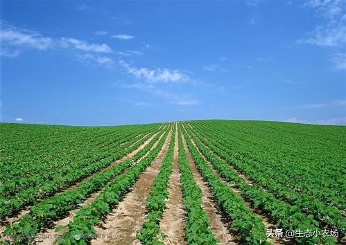 广西农村创业致富项目,100个农村创业致富故事