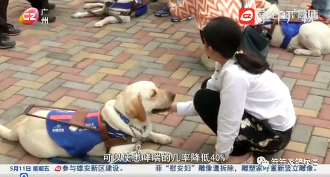 猫咪眼睛细菌感染的原因,猫咪身上有好多寄生虫不敢摸