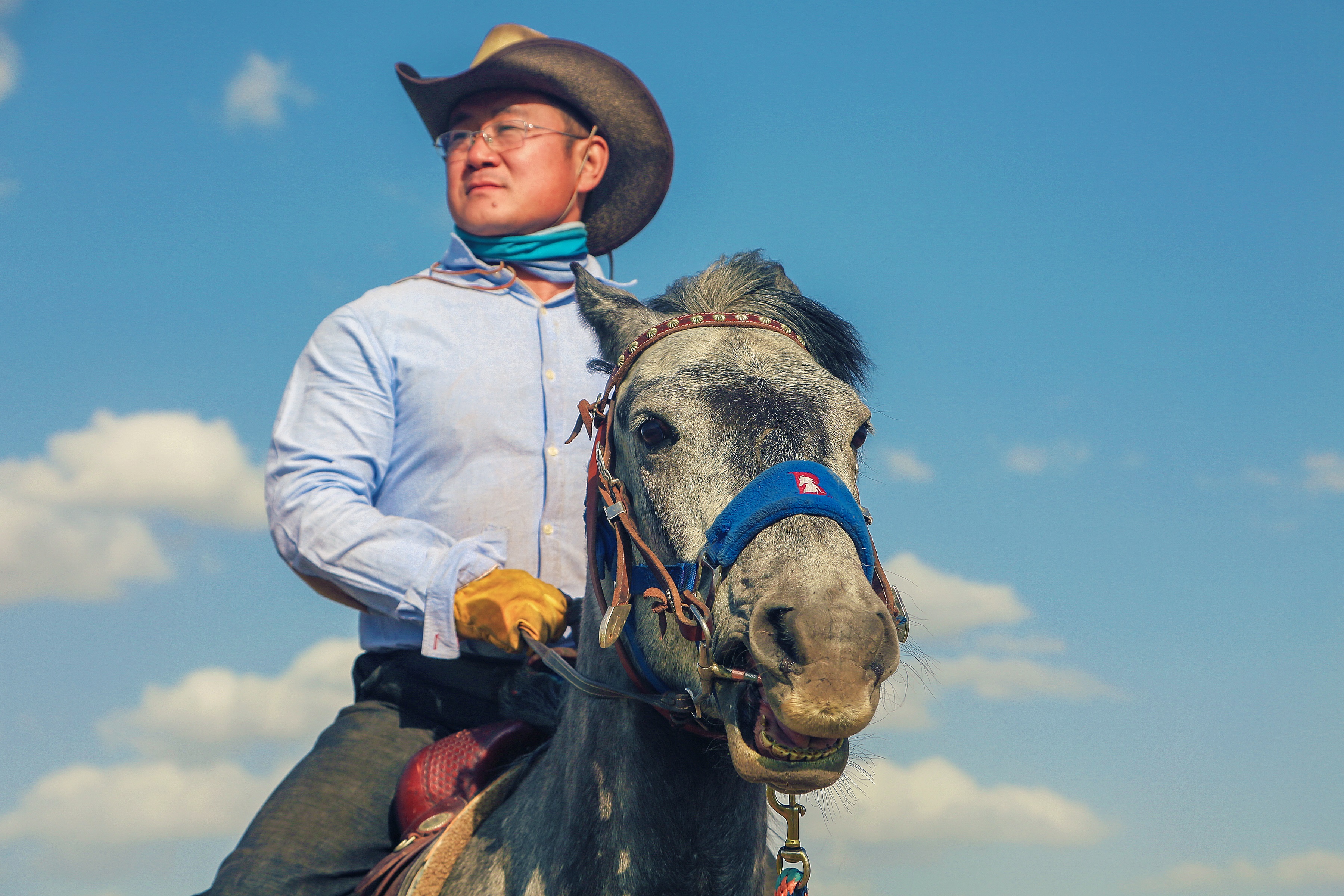 马背之旅旅游攻略,马背之旅旅游视频