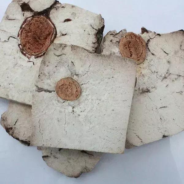 茯苓中药小故事,中药茯苓的故事