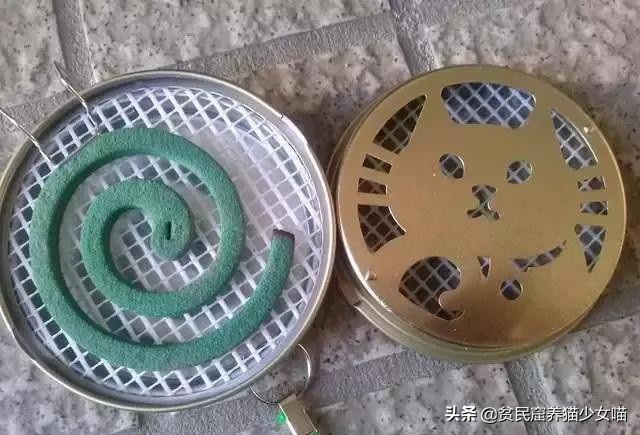 猫咪可以用什么驱蚊产品,夏天猫咪蚊香