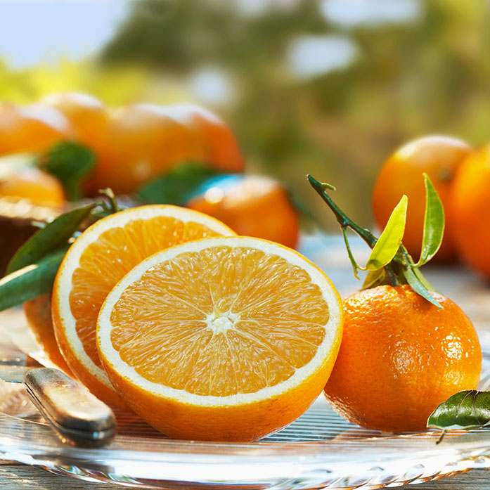 柑橘采果后果园管理要点分析,晚熟柑橘采摘后如何管理