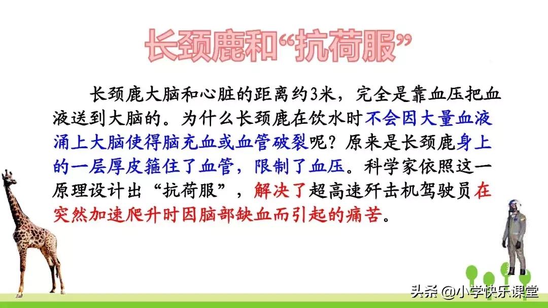 四年级上册语文蝙蝠和雷达课后题,部编版四年级上册语文蝙蝠和雷达
