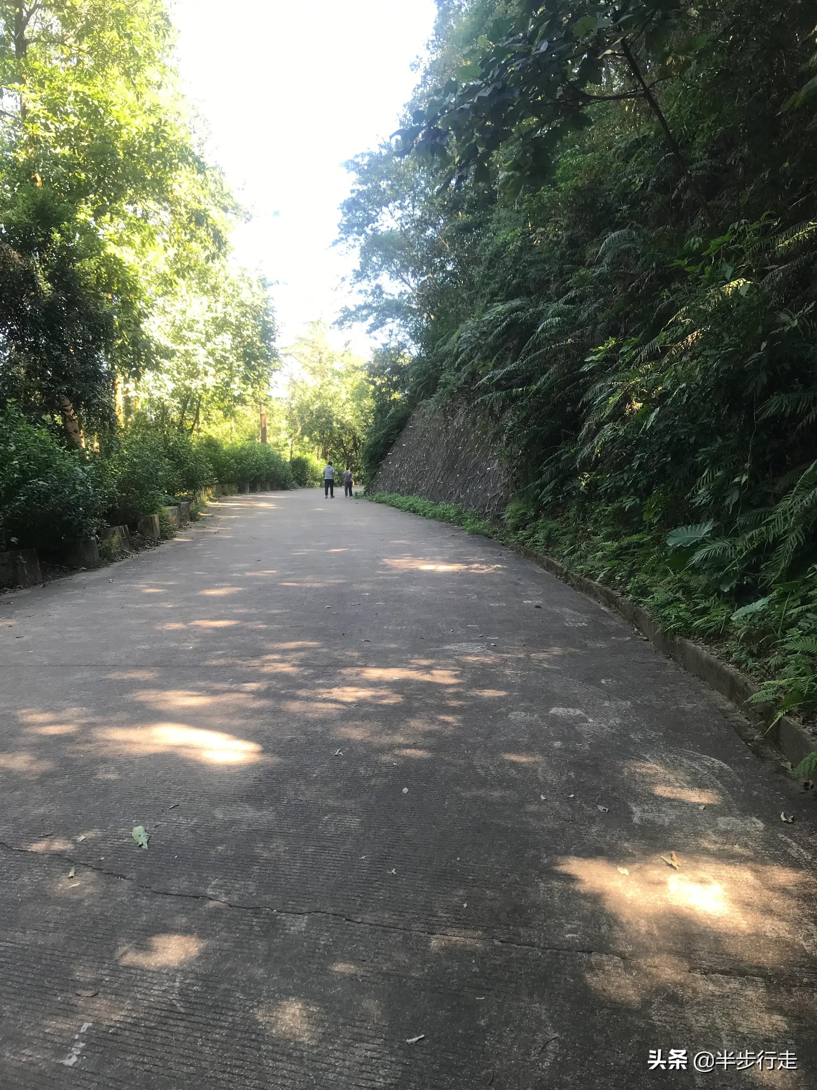 广州帽峰山自驾游攻略天氧山庄,广州帽峰山属于哪个区