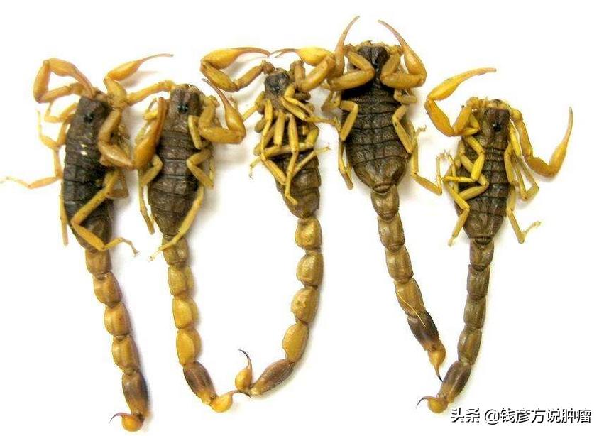 喝中药能消除结节息肉吗,结节息肉气滞血瘀