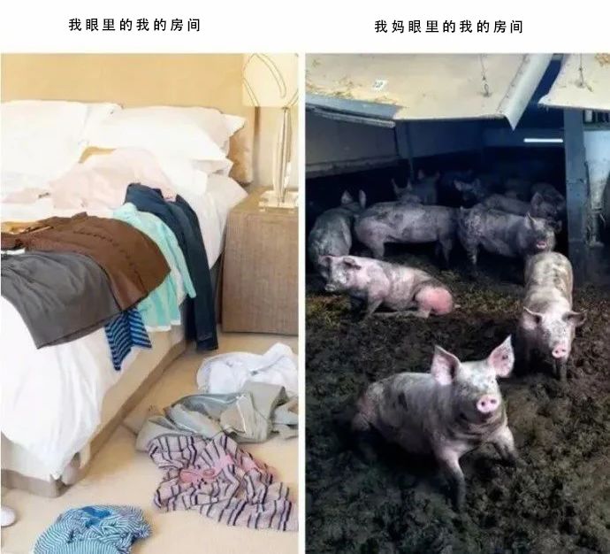 同一个世界同一个妈妈的样子,同一个世界同一个妈妈外国版