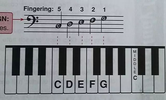 钢琴乐谱新手入门,钢琴和弦知识入门教学视频
