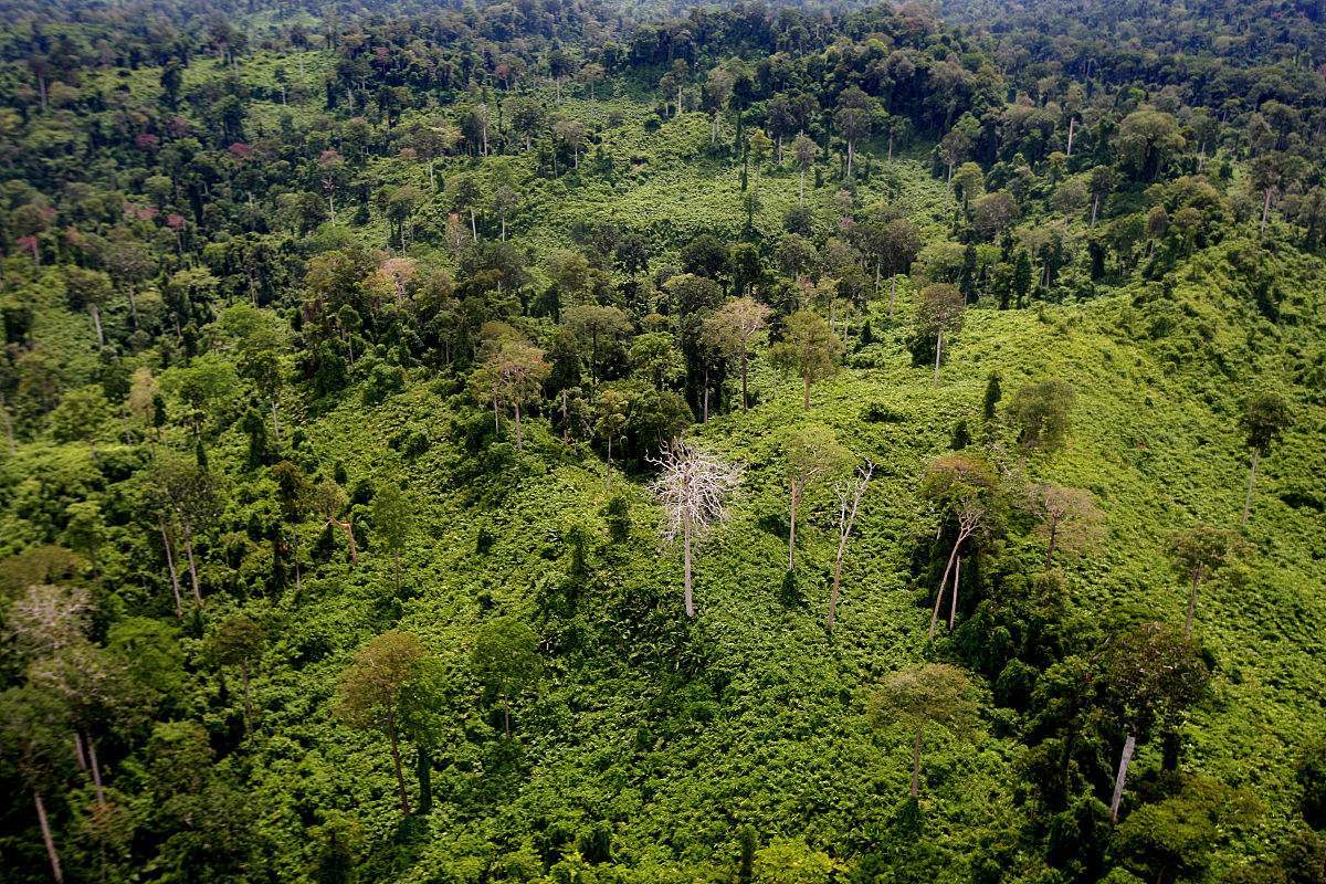 眼镜王蛇毒液有用吗,眼镜王蛇的毒液有多毒