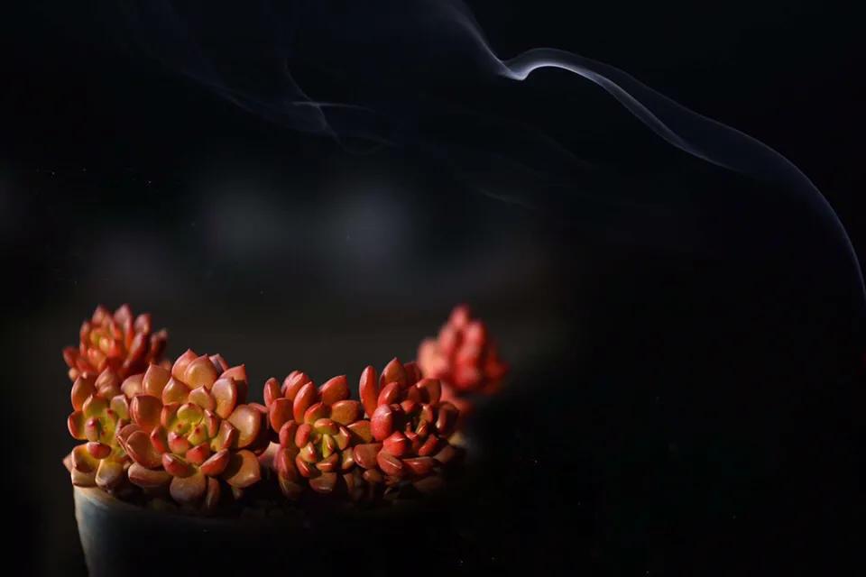 有所思全文,心有所思的美文