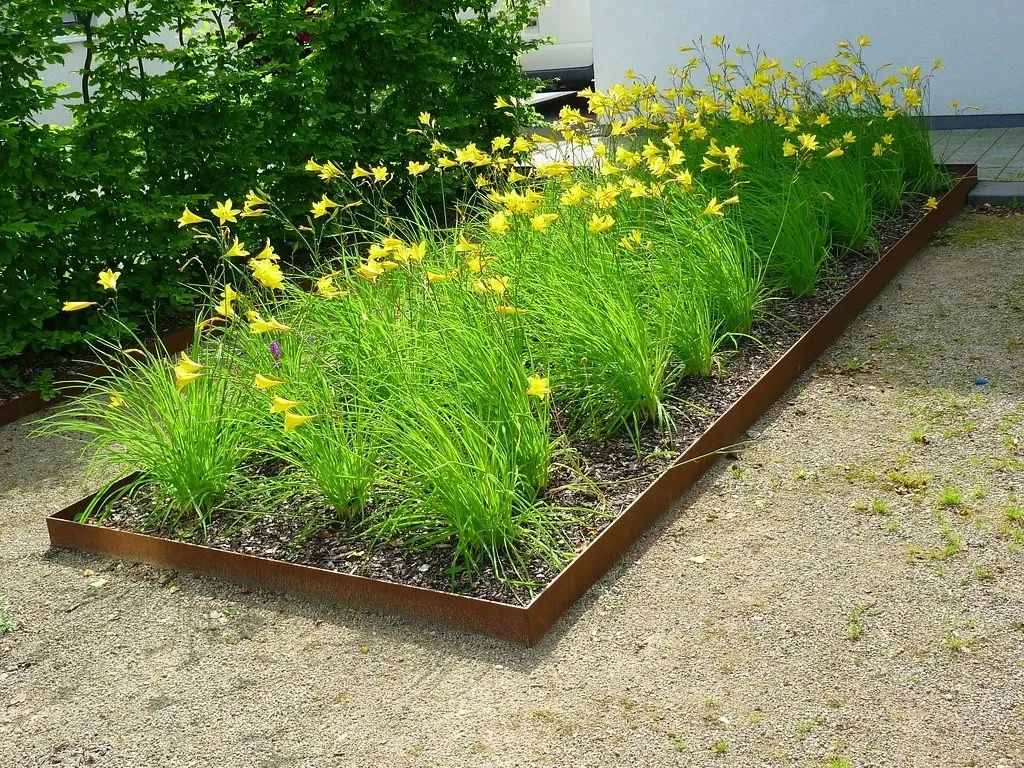 中国的母亲花叫什么,中国的母亲花是什么样子的