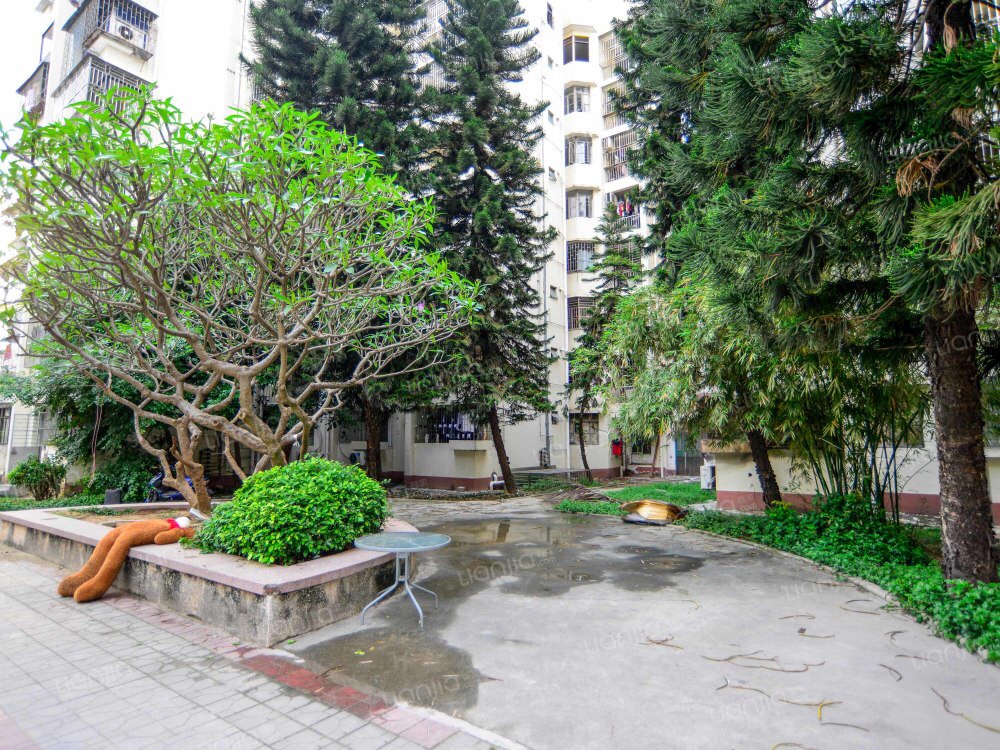 500万在南山买什么房子好,南山500元以内的房子