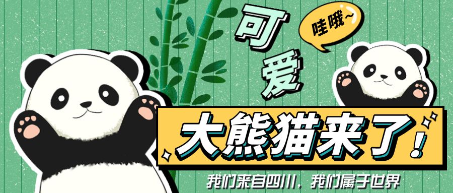 出彩“滚滚”|每一只熊猫都是潜力股......