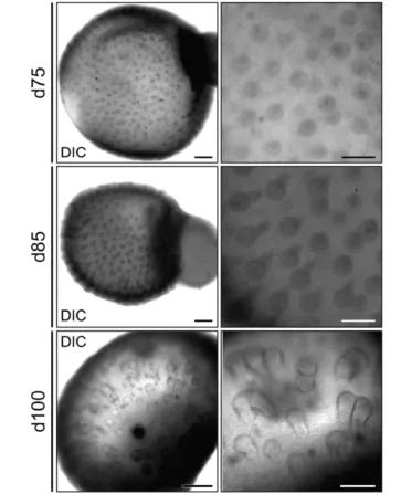 脱发治愈研究,困扰当代年轻人的脱发