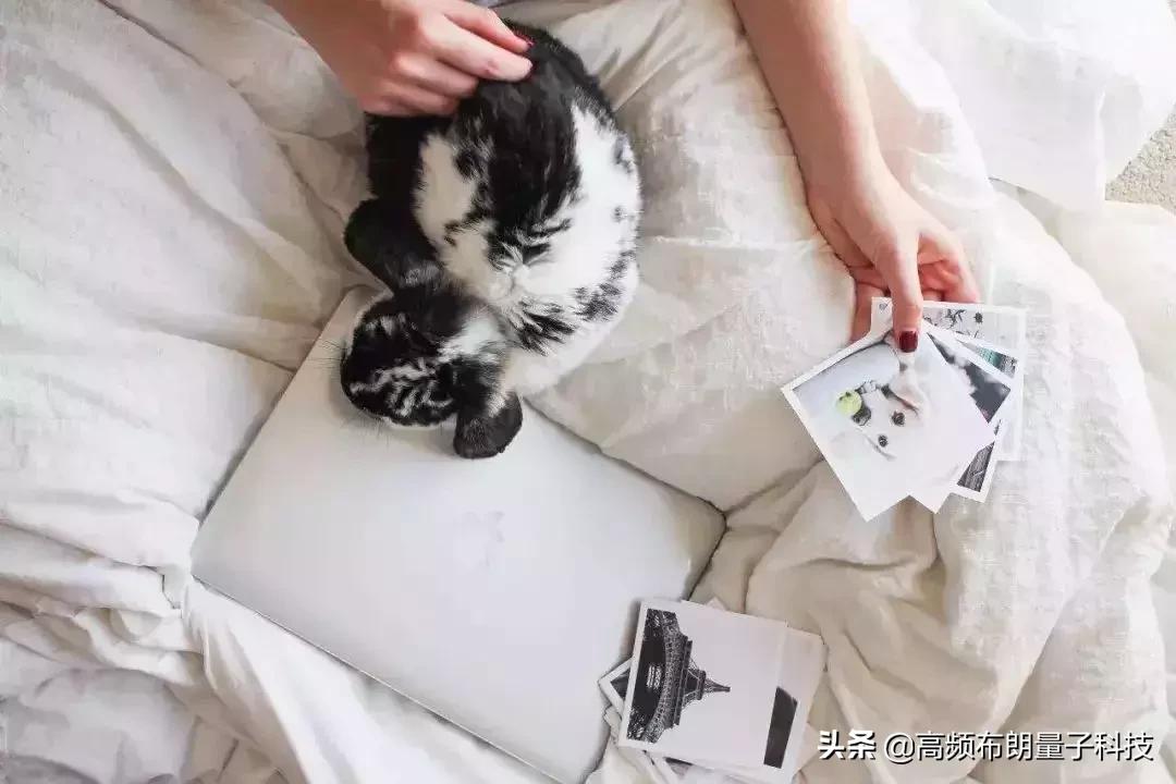 你的微信名暴露你的等级,你的微信昵称暴露了你的智商