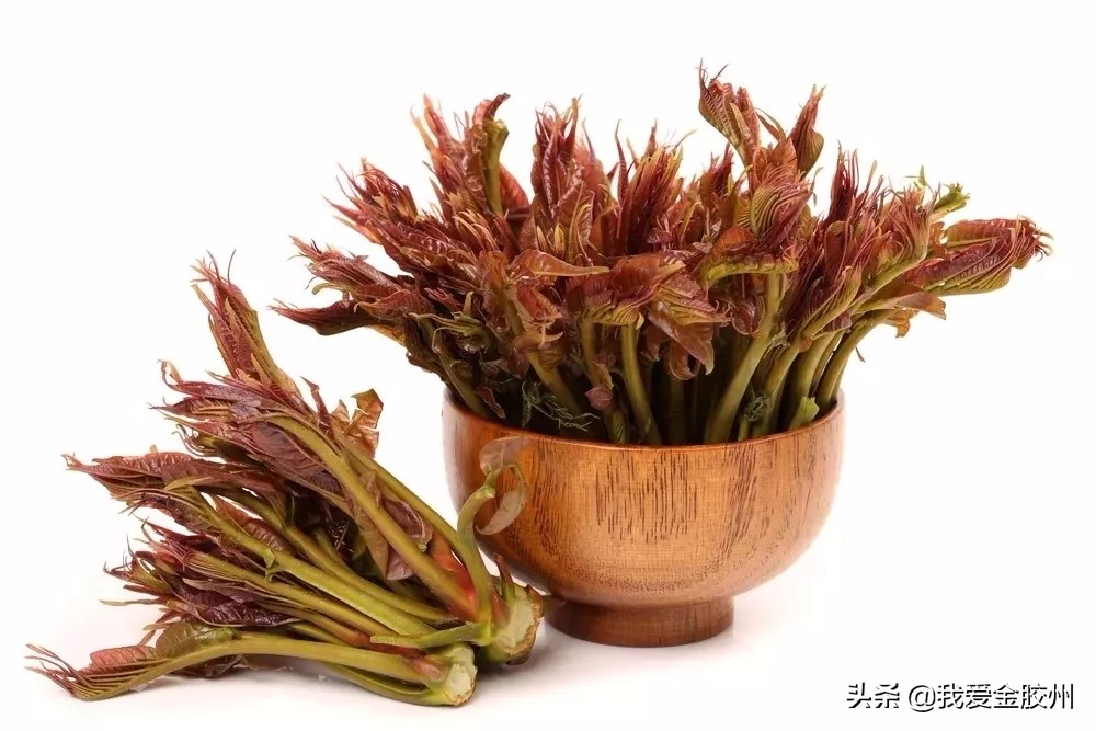 不负春日好食光这几种野菜别忘吃,春天的野菜麦蒿怎样吃有什么功效
