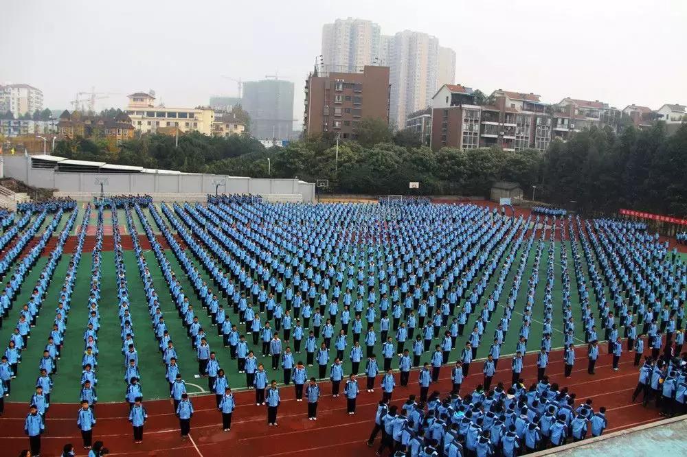 师大一中中考率是多少,师大一中2023重点率