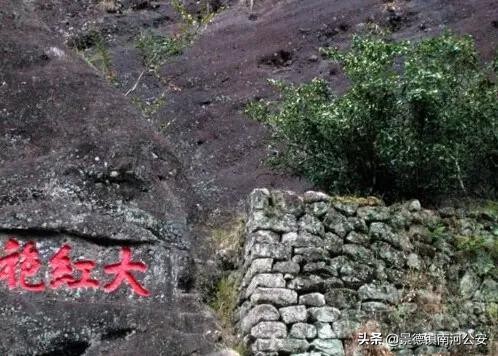 武夷山风景诗句最经典,武夷山游记诗词