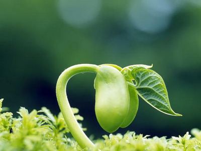 南洋迪克超级工厂行第七季,南洋迪克第九季工厂行火热进行中