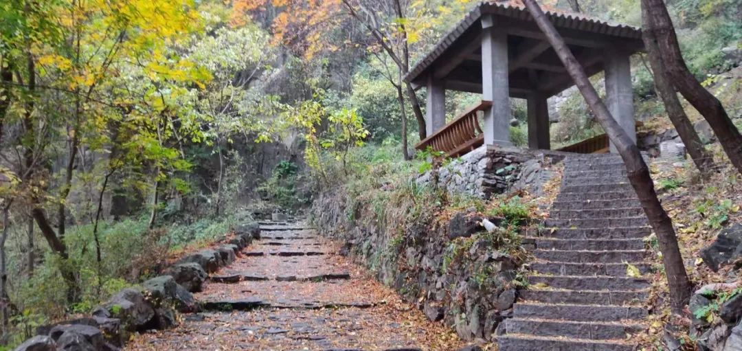 秋香四溢的白陉古道，诗意正浓