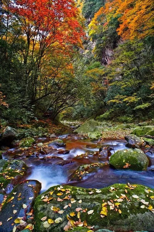 四川一条路途经全是石头的山,四川红叶一日游攻略