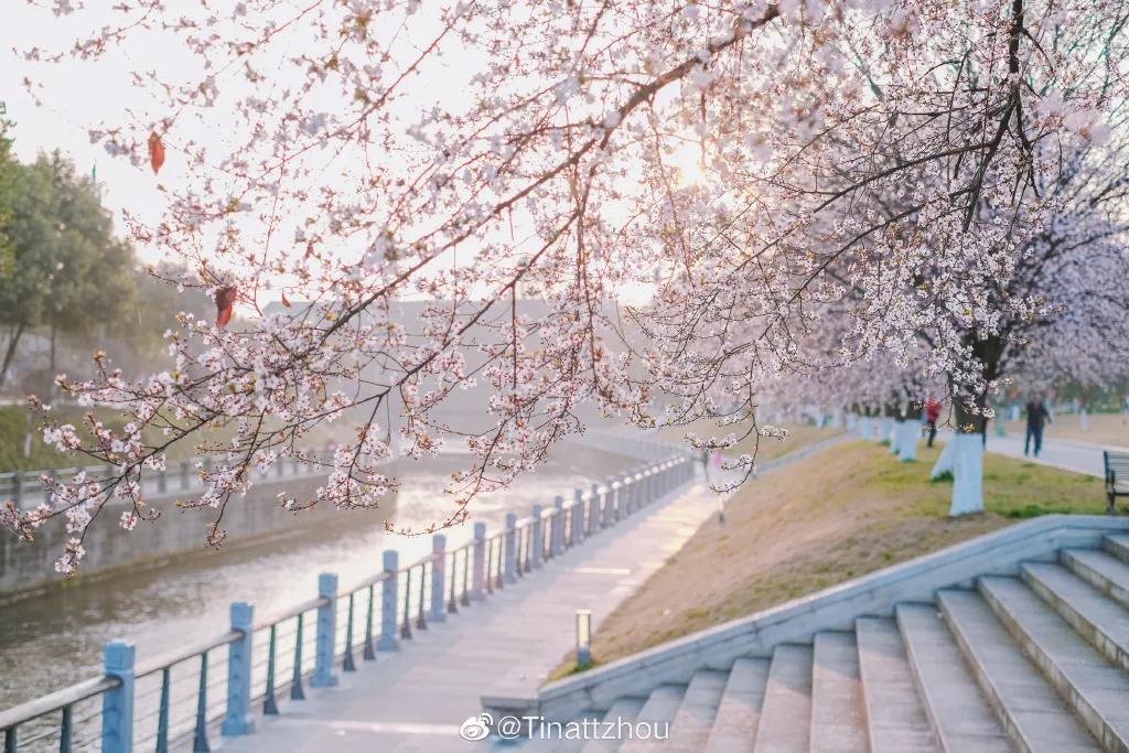 成都春游好去处周末 (成都周边周末春游推荐)