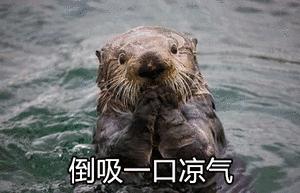 澳大利亚墨尔本三名女性被害事件,澳大利亚杀妻子案件