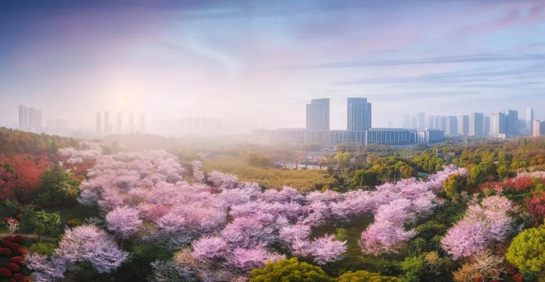 总价约500万！人生最赞的生活场景，这座经开别墅全做到了