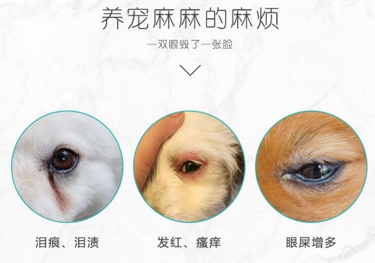 狗狗泪痕去除剂,狗狗泪痕特效药有用吗