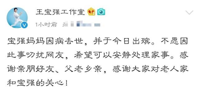 王宝强马蓉事件真实性,马蓉王宝强有没有孩子