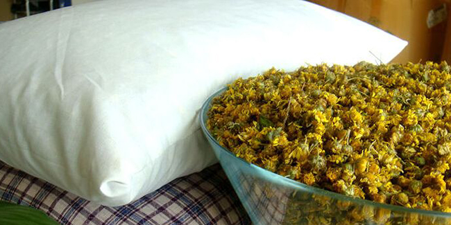 泡过的茶叶不要扔,泡过的茶叶当枕头