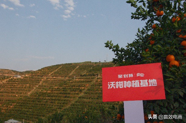 聚划算抢购怎么合并订单,现在聚划算淘抢购还有效果吗