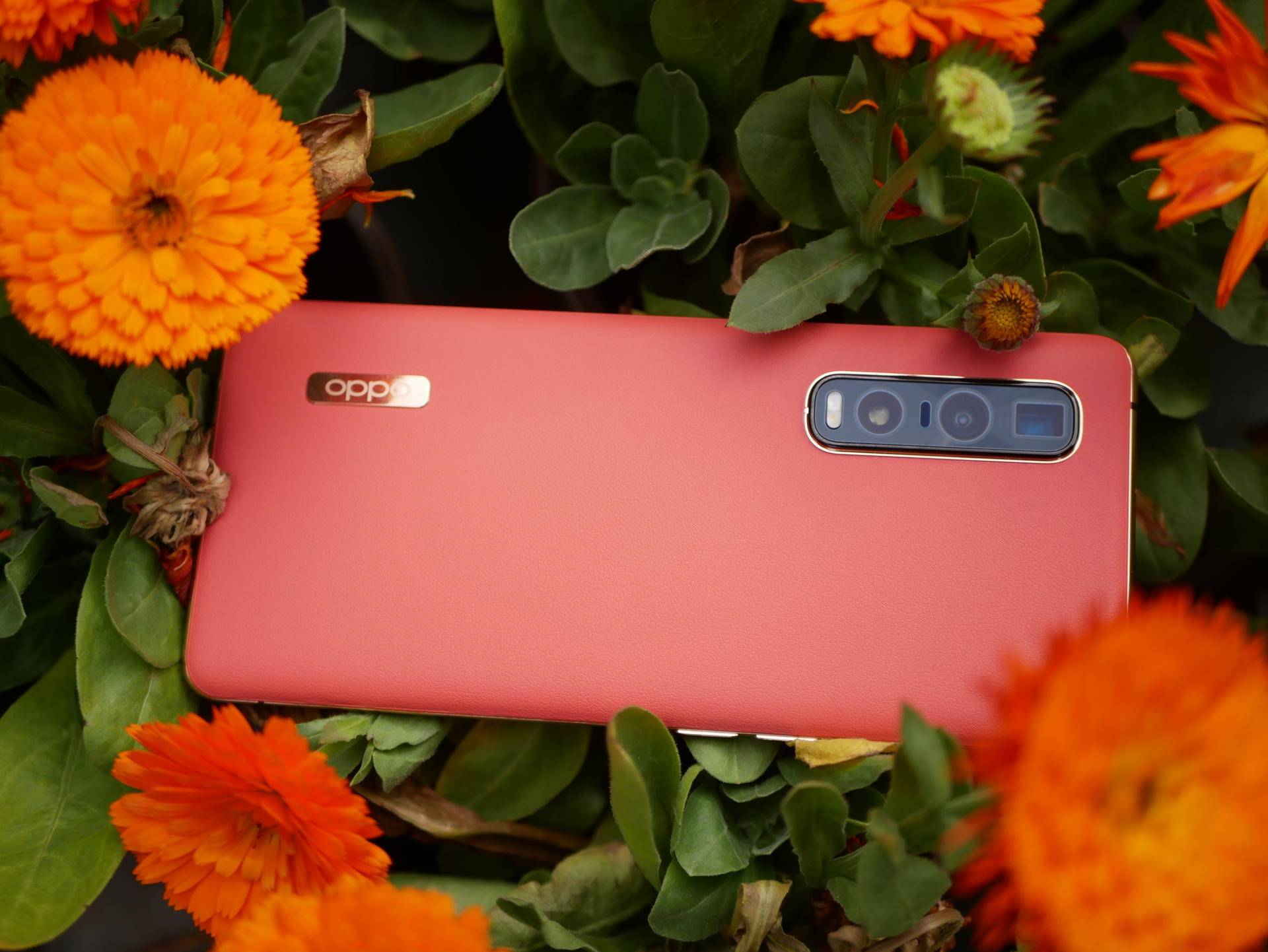 消费者视角评测,findx2pro发布多少钱