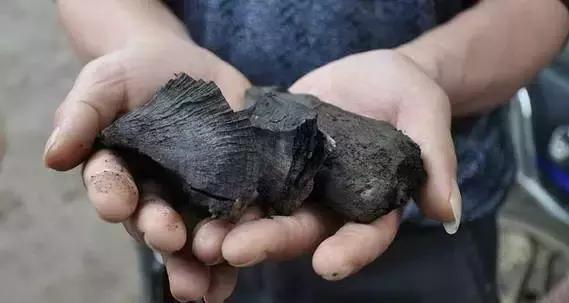 乌木到底是什么凭啥这么珍贵,乌木到底有什么价值