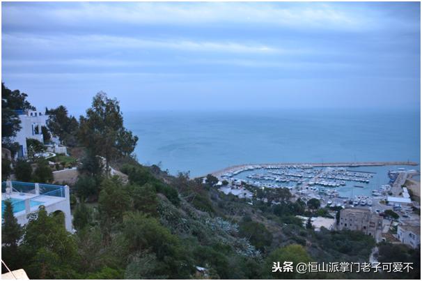 非洲突尼斯旅游攻略,突尼斯旅游攻略