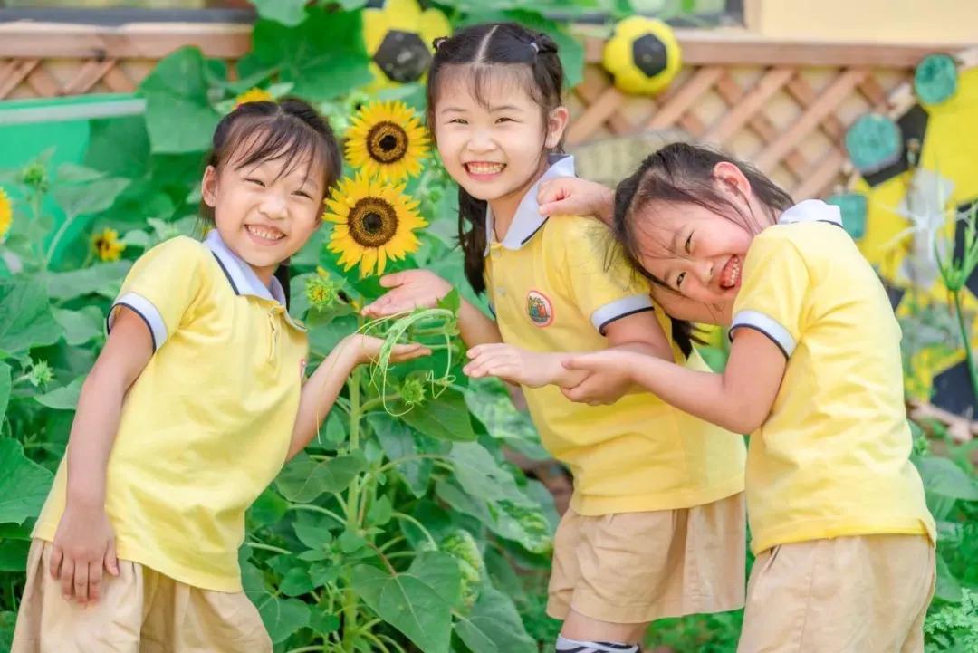 恭喜幼儿园再创佳绩,恭喜幼儿园被评为一类幼儿园