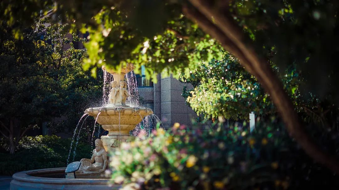 唐城壹零壹一期好不好,唐城壹零壹一期