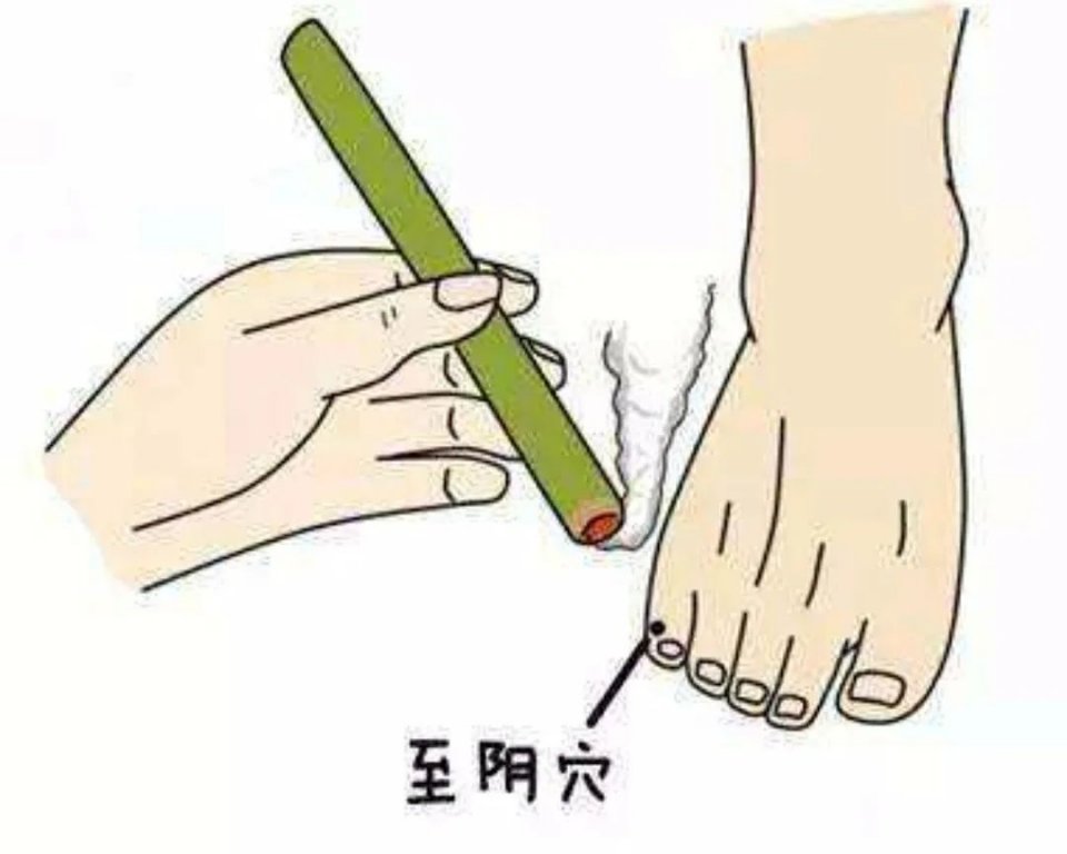安军明中医专家,安军明讲穴视频全集