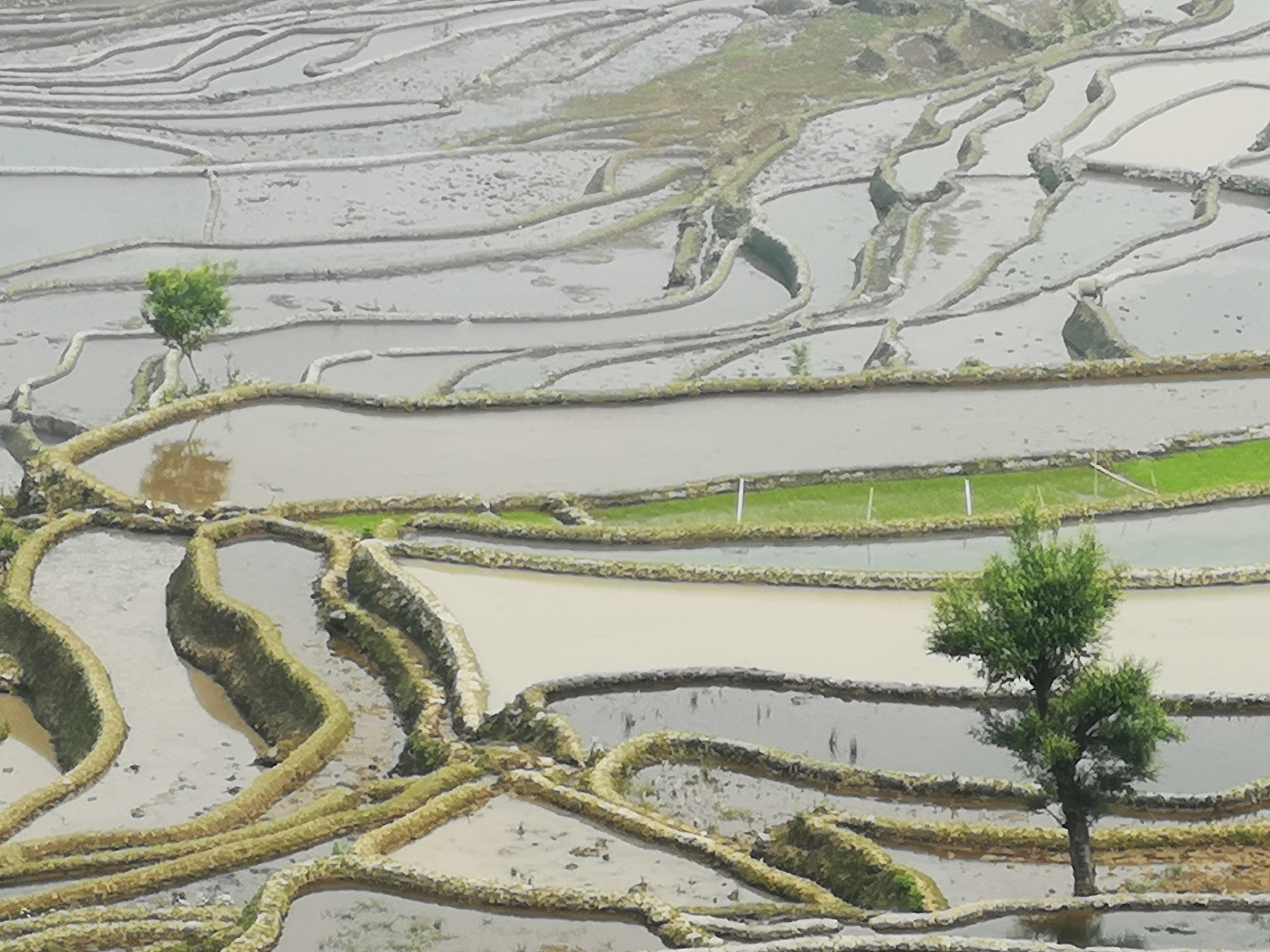 上海出发云南自驾游详细攻略,安徽出发自驾游云南最佳路线图