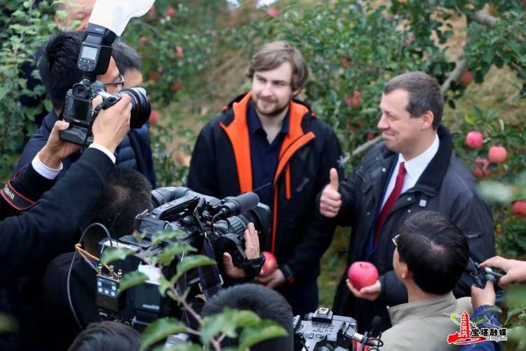 鍔涢噺2020,鍔涢噺2022