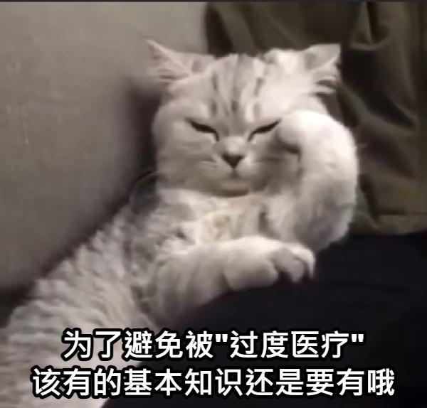 姚晨的牙齿怎么回事,姚晨育儿全过程