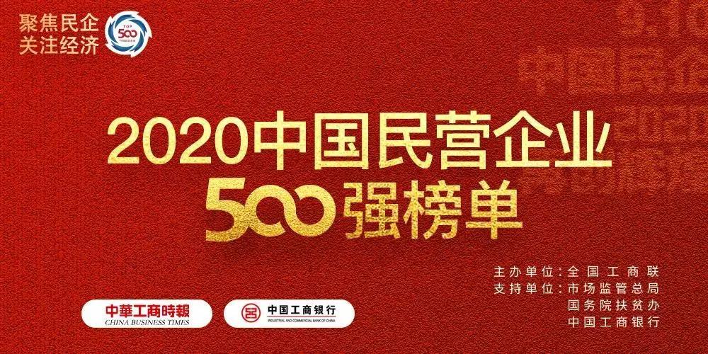 鲁清石化龙头企业,鲁清石化是国企还是民营