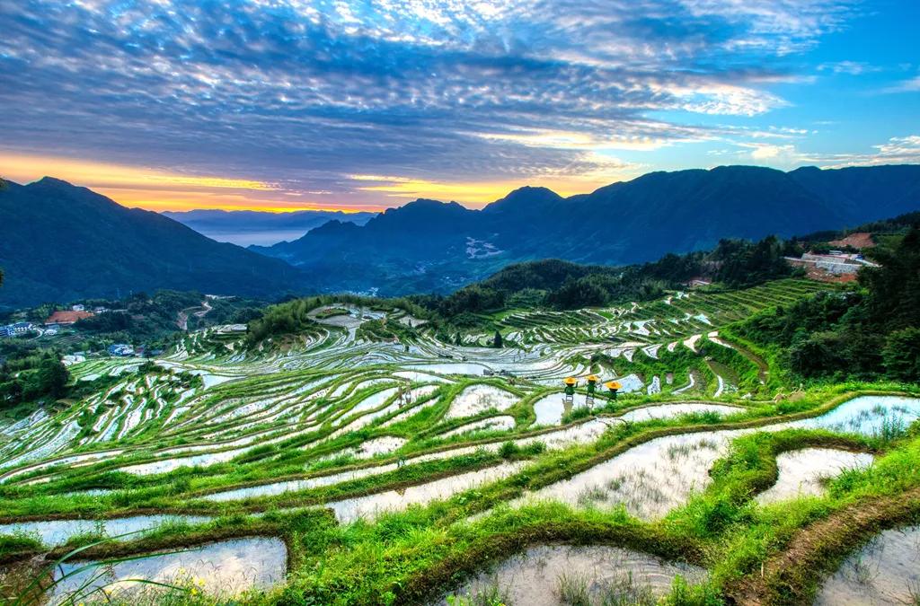 茗岙梯田航拍中国,茗岙梯田仙境
