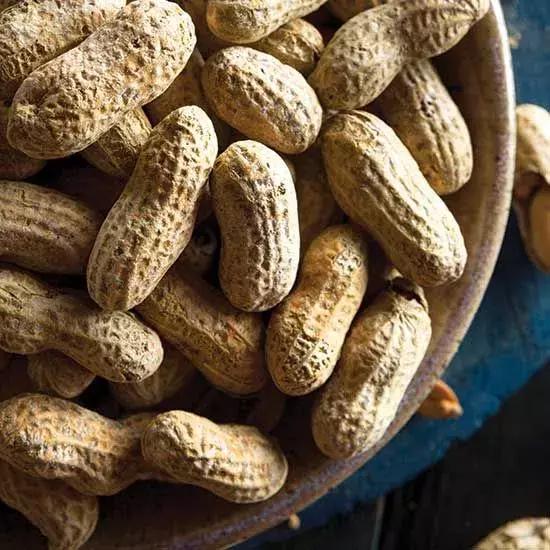 衣柜里放一年的衣服用洗吗,用啥放衣柜里衣服不生虫