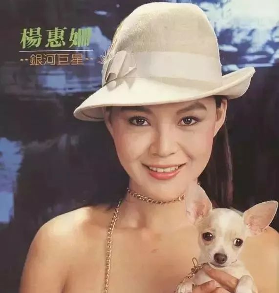 跟任泉长得像的明星,人各有志殊途同归的名人例子