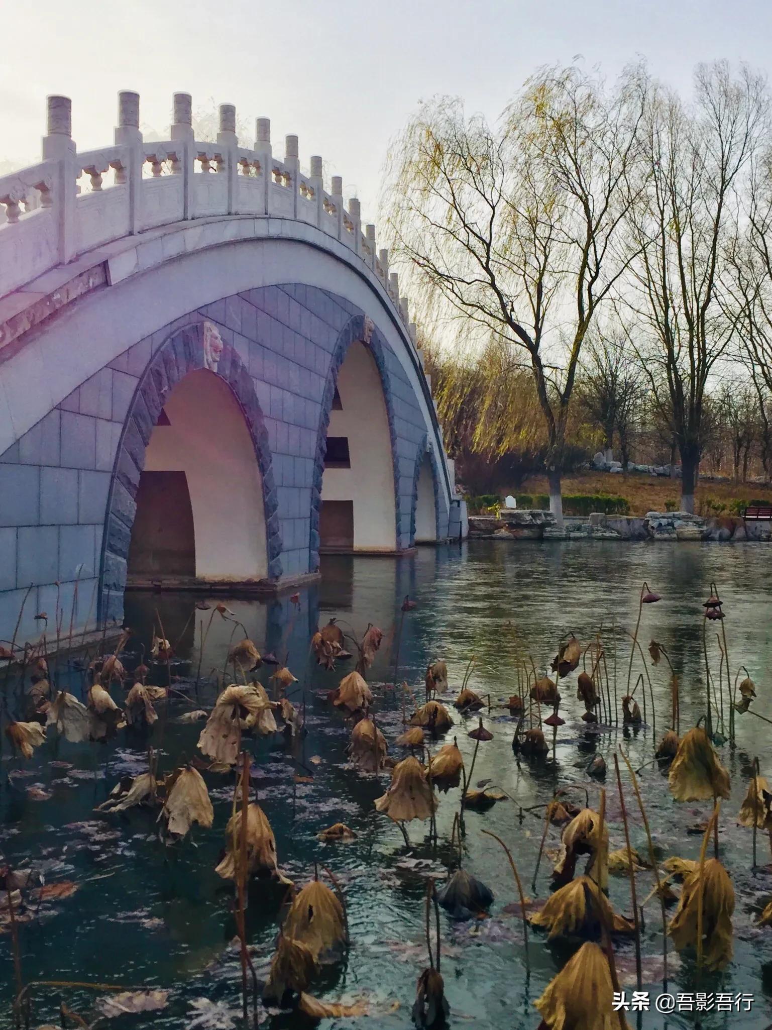 武清津北森林公园有哪些风景,天津武清森林公园开放时间表