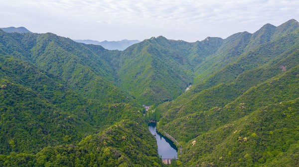 深藏在森林之中的温泉酒店，周末度假的好地方