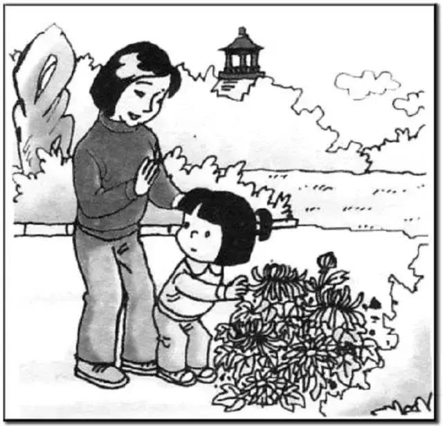 二年级看图写话38篇+范文，写话小达人，非你莫属