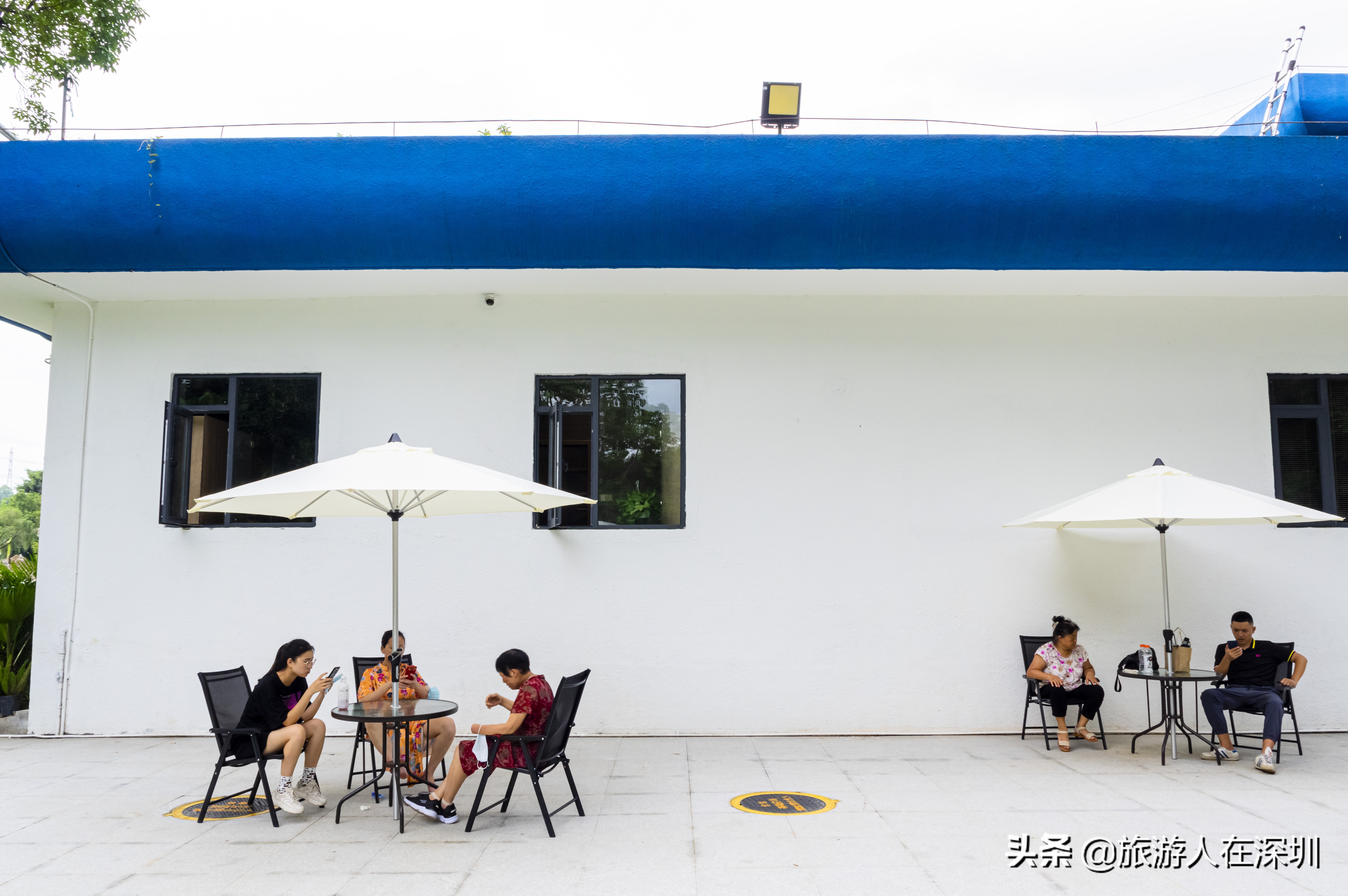 洪湖公园荷美空间开放吗,深圳洪湖荷美空间