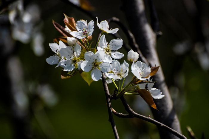尼康70-300镜头对焦不清楚怎么办,尼康70-300不带防抖镜头怎么样